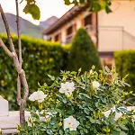 Alojamento de Turismo Rural Divina Costiera *