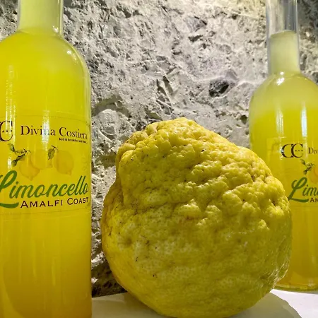 神圣海岸酒店 农家乐