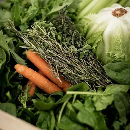 农家乐 神圣海岸酒店 阿杰罗拉